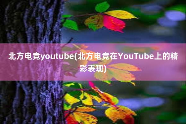 北方电竞youtube(北方电竞在YouTube上的精彩表现)