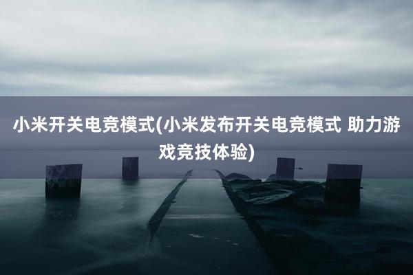 小米开关电竞模式(小米发布开关电竞模式 助力游戏竞技体验)