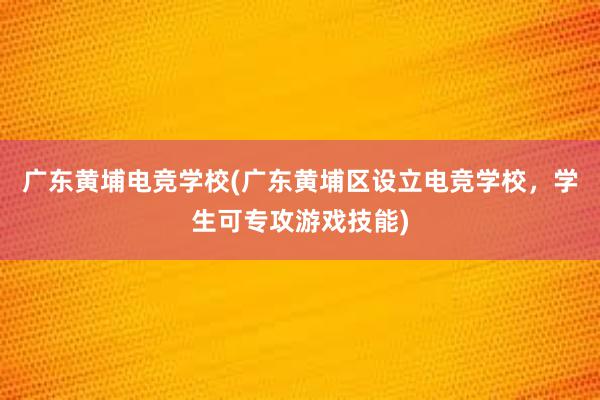 广东黄埔电竞学校(广东黄埔区设立电竞学校，学生可专攻游戏技能)