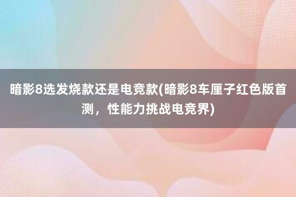 暗影8选发烧款还是电竞款(暗影8车厘子红色版首测，性能力挑战电竞界)