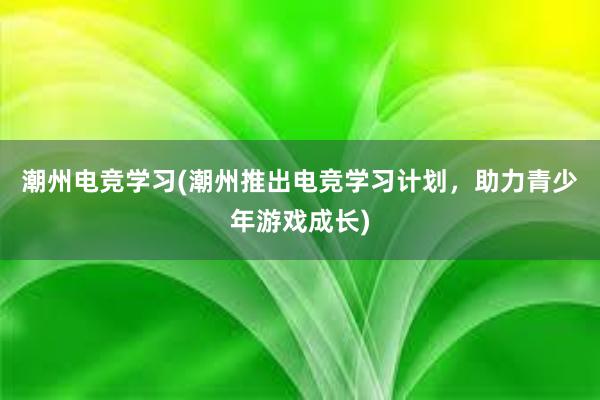 潮州电竞学习(潮州推出电竞学习计划，助力青少年游戏成长)