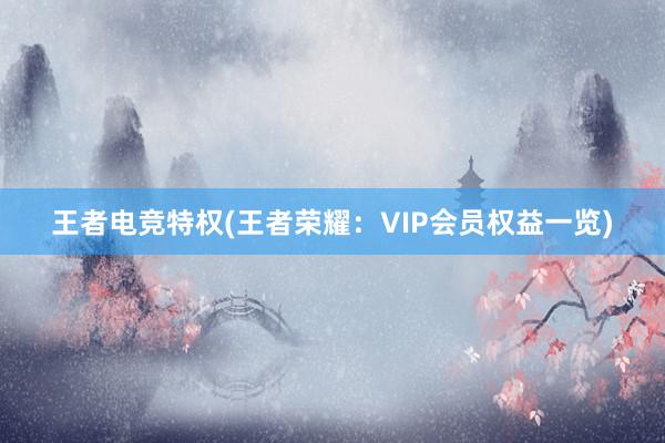 王者电竞特权(王者荣耀：VIP会员权益一览)