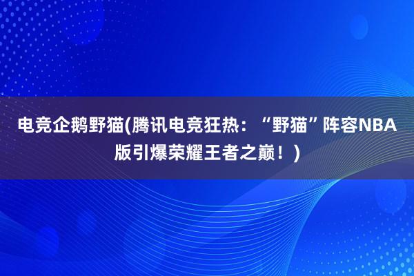 电竞企鹅野猫(腾讯电竞狂热：“野猫”阵容NBA版引爆荣耀王者之巅！)