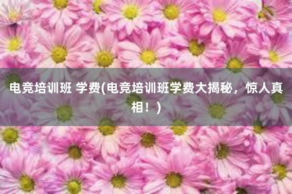 电竞培训班 学费(电竞培训班学费大揭秘，惊人真相！)