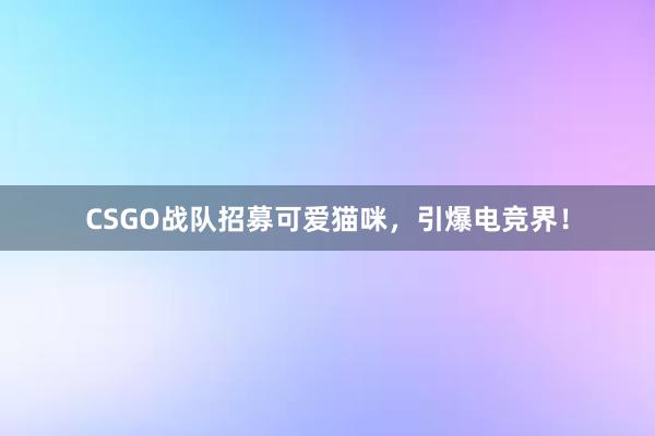 CSGO战队招募可爱猫咪，引爆电竞界！