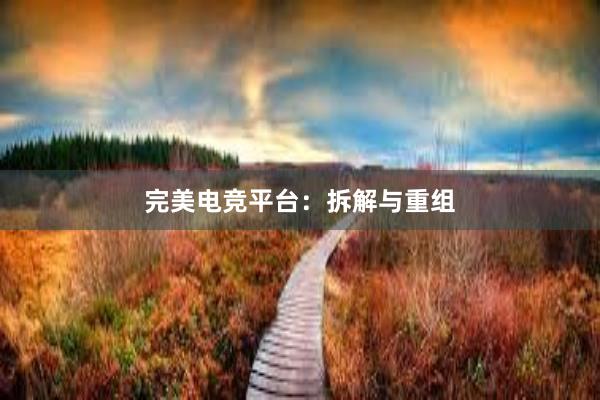 完美电竞平台：拆解与重组