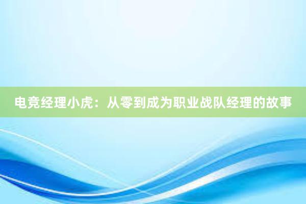 电竞经理小虎：从零到成为职业战队经理的故事