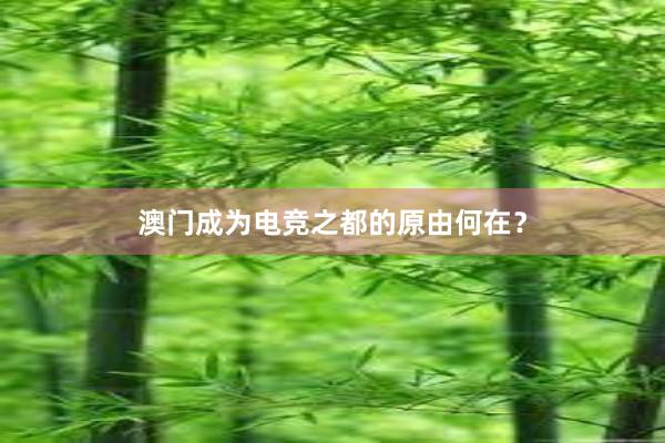 澳门成为电竞之都的原由何在？