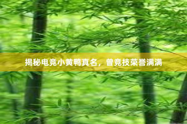 揭秘电竞小黄鸭真名，曾竞技荣誉满满