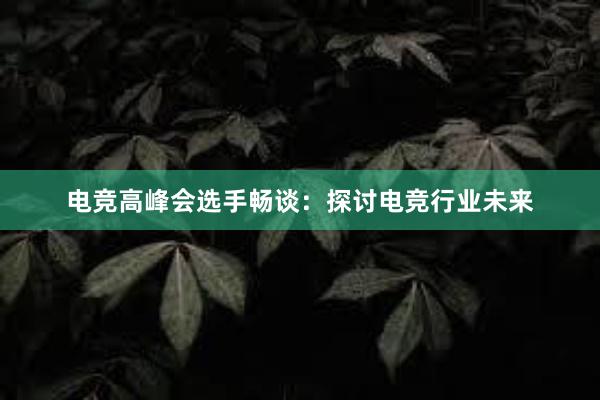 电竞高峰会选手畅谈：探讨电竞行业未来