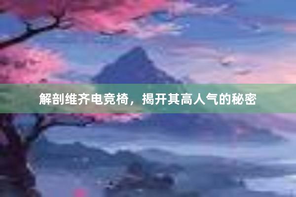 解剖维齐电竞椅，揭开其高人气的秘密