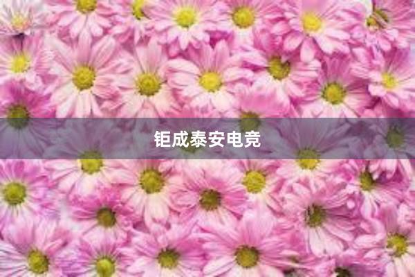 钜成泰安电竞