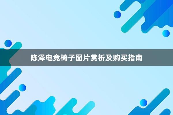 陈泽电竞椅子图片赏析及购买指南